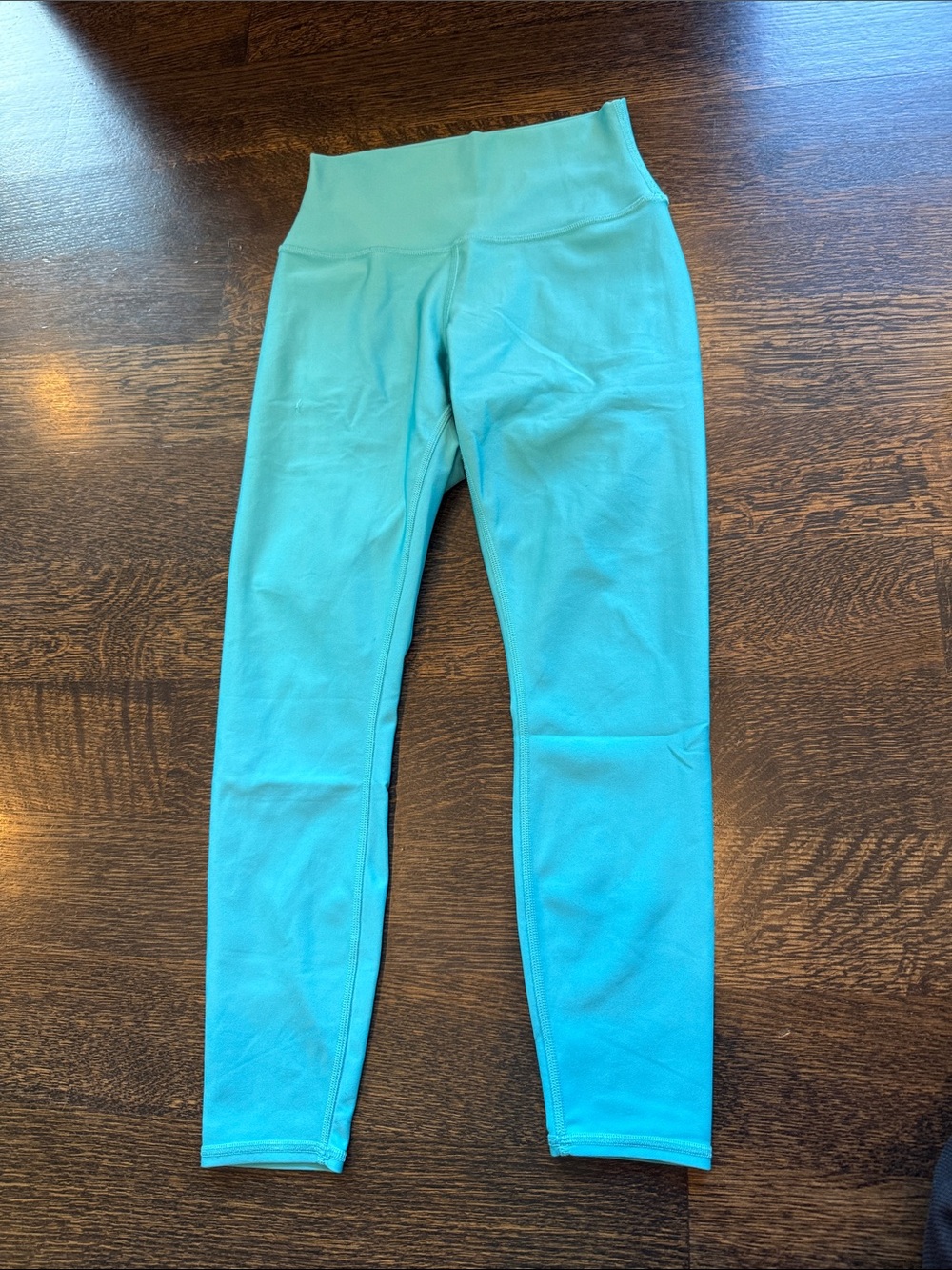 Alo blue leggings